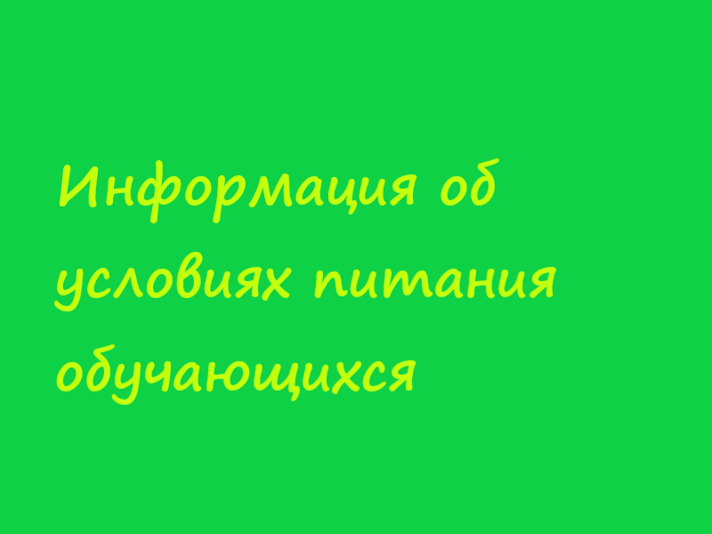 Информация об условиях питания обучающихся.